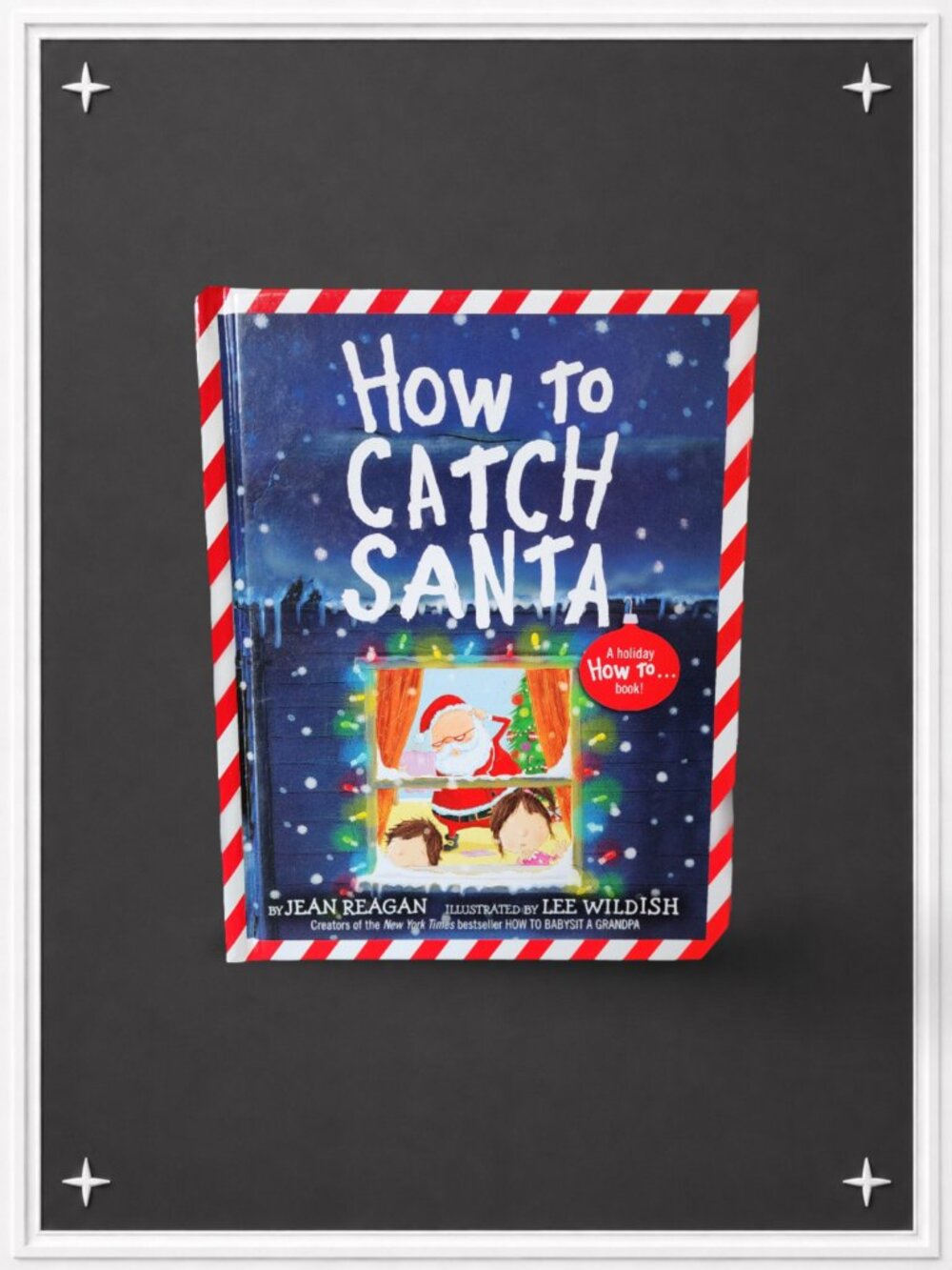 How to Catch Santa | Children's Picture/Story Book